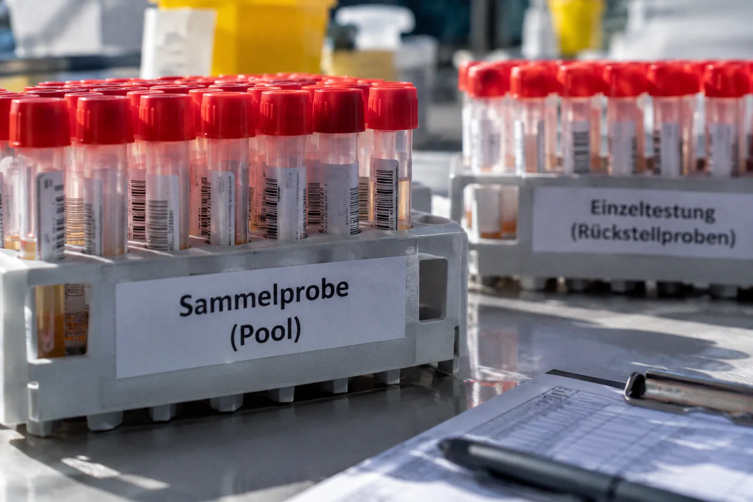 PCR-Pooltest: Was geschieht bei einer positiven Sammelprobe?