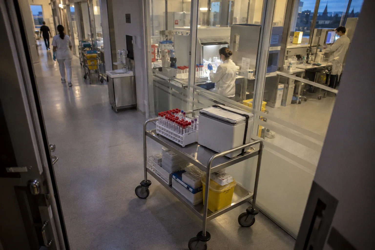 Warum Labordiagnostik bei der Erkennung von Infektionskrankheiten unverzichtbar ist